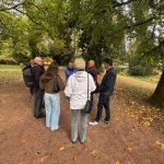 55. IBS-Kongress in Wiesbaden